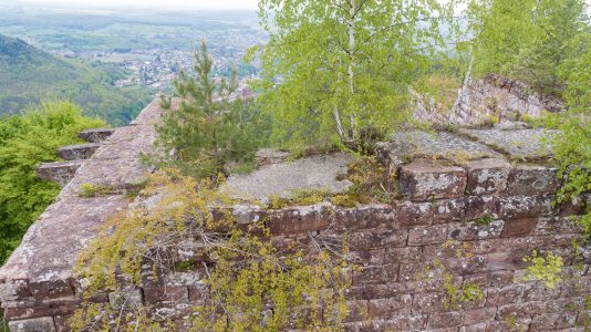 Château de la Wasenbourg